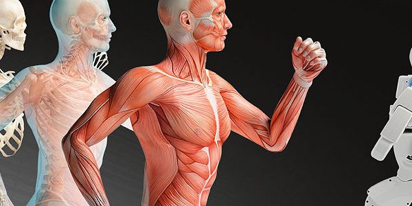 産業用ロボット